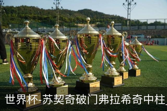 世界杯-苏契奇破门弗拉希奇中柱 克罗地亚半场1-0加纳