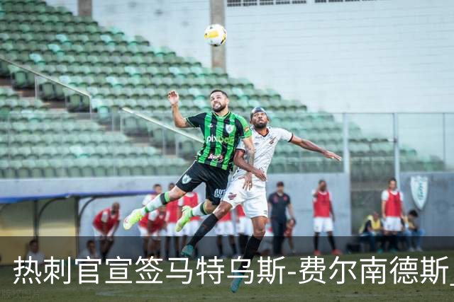 热刺官宣签马特乌斯-费尔南德斯 转会费8500万镑破纪录