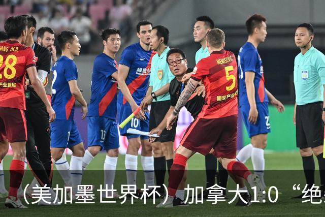 （美加墨世界杯）加拿大1:0“绝杀”南非 队史首进16强