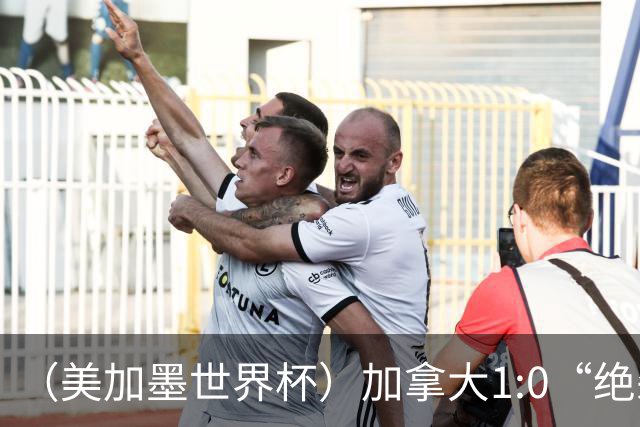 （美加墨世界杯）加拿大1:0“绝杀”南非 队史首进16强